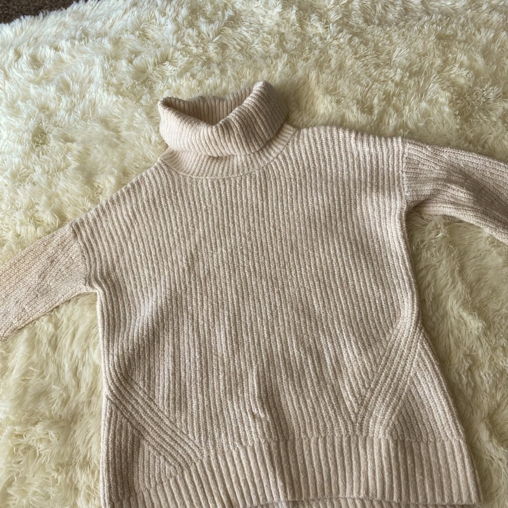 Turtleneck Sweater